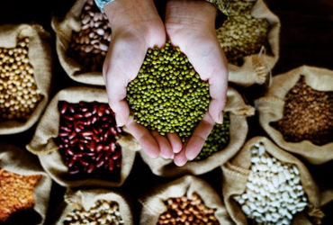 કઠોળ ઉત્પાદનમાં દુનિયાના ટોપ-10 દેશોમાં ભારત નંબર 1, ચીન-અમેરિકા પણ પાછળ | India Tops Global Pulses …