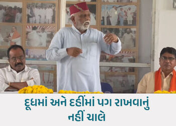 ‘ચૈતર વસાવા સામે ચૂપ કેમ છો? મૌન રહેશો તો પતી જશો’: ભાજપ સાંસદે પક્ષના નેતાઓને આડેહાથ લીધા | Mansukh…