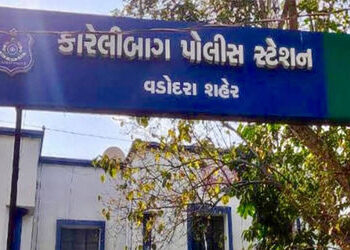 વડોદરામાં જીવન ભારતી ચાર રસ્તા પર આવેલી સ્વાતંત્ર્ય સેનાનીની તકતી તોડી બેફામ વાહન ચાલક ફરાર | reckle…
