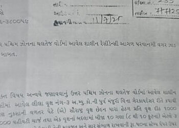 પચાસ વૃક્ષ ઉગાડવા પડશે , શીલજની શાલીન રેસિડેન્સીમાં ત્રણ લીલા વૃક્ષ પરવાનગી વગર કપાયા | Fifty trees …