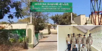 અમરેલી નજીક સિંહના મોત માટે જવાબદાર બે આરોપીની ધરપકડ, પૂછપરછમાં ચોંકાવનારી કબૂલાત | Amreli Lion Deat…
