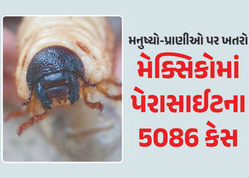 મનુષ્યો-પ્રાણીઓના જીવ લઈ લેતું પેરાસાઈટ ફેલાયું, મેક્સિકોમાં નોંધાયા 5000થી વધુ કેસ | America Pandem…