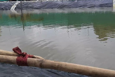 ગણેશોત્સવના આરંભ સાથે અમદાવાદમાં આઠ કરોડના ખર્ચે 49 ગણેશમૂર્તિ વિસર્જન કુંડ તૈયાર | ahmedabad ganesh…