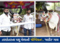 તરણેતરના પશુ મેળામાં કચ્છની ‘મલીર’ ગાય બની ‘ચેમ્પિયન ઓફ ધ શો’, રૂ. એક લાખનું ઈનામ | kutch kankreji c…