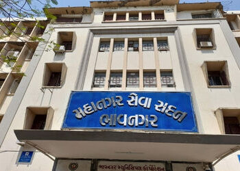 રીંગ રોડના સેન્ટ્રલ ડિવાઈડર વચ્ચેની જગ્યામાં બ્યુટીફીકેશન માટે રૂા. 1.32 કરોડનો ખર્ચ કરાશે | beautif…