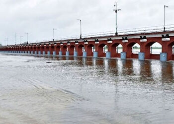 વડોદરાના ઉપરવાસમાં વરસાદ થતાં આજવા સરોવરની સપાટી વધીને 211.46 ફુટ થઈ | the level of Ajwa Lake rose t…