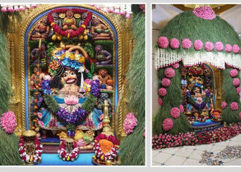 સાળંગપુરમાં શ્રી કષ્ટભંજન દેવ હનુમાનજીના સિંહાસને ધરો અને ગુલાબના ફુલનો શણગાર કરાયો | Shri Kashtbhan…