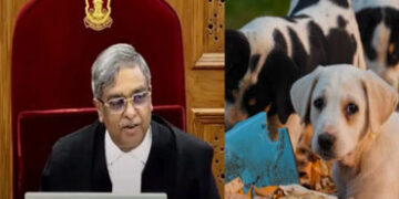 મને પ્રખ્યાત કરવા બદલ કૂતરાઓનો આભાર : ન્યાયાધીશ વિક્રમનાથ
