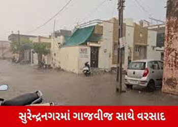 સુરેન્દ્રનગર જીલ્લામાં વાતાવરણમાં પલટા બાદ વરસાદનું આગમન | Rain arrives in Surendranagar district af…