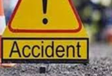 તરસાલી બ્રિજ નજીક વાહનની અડફેટે ડ્રાઇવરનું સ્થળ પર જ મોત | Driver died on the spot after being hit b…