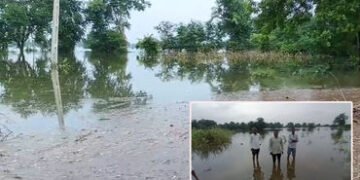 પંચમહાલ જિલ્લામાં જળાશયો છલકાયા: કડાણા ડેમમાંથી પાણી છોડાતા ખેતરો જળમગ્ન, પાકને ભારે નુકસાન | Panchm…