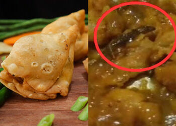 નાસ્તા શોખીનો માટે શોકિંગ ન્યૂઝ: અમદાવાદના વેજલપુરમાં સમોસાની ચટણીમાંથી નીકળી ગરોળી | Lizard in samo…
