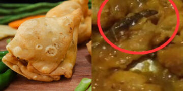 નાસ્તા શોખીનો માટે શોકિંગ ન્યૂઝ: અમદાવાદના વેજલપુરમાં સમોસાની ચટણીમાંથી નીકળી ગરોળી | Lizard in samo…