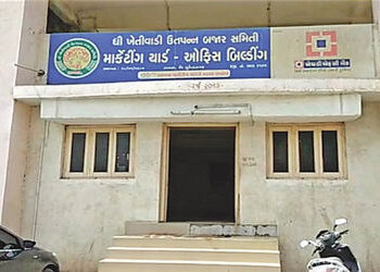 સાયલા APMC ની ચૂંટણીમાં 30 થી વધુ વેપારી મતદારોની બાદબાકી | More than 30 business voters excluded fr…