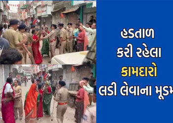 રાજુલા શહેરની સફાઇ કામગીરી 7 દિવસથી બંધ : વ્યાપક ગંદકી | Rajula city cleaning operations stopped for…