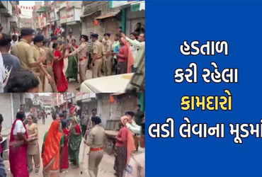 રાજુલા શહેરની સફાઇ કામગીરી 7 દિવસથી બંધ : વ્યાપક ગંદકી | Rajula city cleaning operations stopped for…
