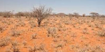 ગુજરાતના ત્રણ જિલ્લાઓમાં ૪૨૦૦૦ હેકટર જેટલી જમીનની ફળદ્રુપતા ઘટી | decline in fertility of land in gu…