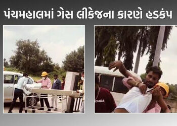 ઘોઘંબા નજીક ગુજરાત ફ્લોરો કેમિકલ્સમાં ગેસ લીકેજ, 25 જેટલા લોકોને ગેસ ગળતરની અસર | panchmahal gas lea…