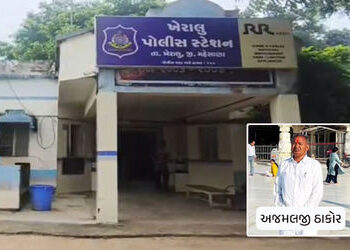 ખેરાલુ પંથક ચંદનચોરોનો તરખાટ, પૂર્વ ધારાસભ્યના ખેતરમાંથી ચંદનના વૃક્ષોની ચોરી | kheralu sandalwood t…