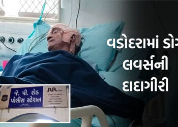 વડોદરામાં રખડતા શ્વાનનો વિવાદ ઉગ્ર બન્યો: સોસાયટીના પ્રમુખનું અપહરણ કરી ઢોર માર માર્યો | Dog Lovers …