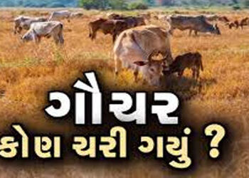 સાવરકુંડલામાં ગૌચર મામલે માલધારી સમાજનો મોરચોઃ રોષભેર સુત્રોચ્ચાર | Maldhari community front on Gauc…