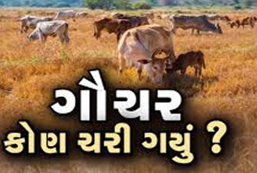 સાવરકુંડલામાં ગૌચર મામલે માલધારી સમાજનો મોરચોઃ રોષભેર સુત્રોચ્ચાર | Maldhari community front on Gauc…