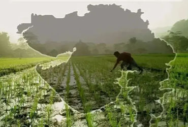 અમદાવાદના એક જ કુટુંબના 12 શખસો બોગસ ખેડૂત ખાતેદાર બન્યાં, ખંભાત પોલીસે ગુનો નોંધ્યો | 12 from One A…