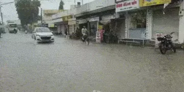 અમરેલીમાં સતત ત્રીજા દિવસે મેઘમહેર યથાવત, ખેડૂતોમાં ખુશી અને શહેરમાં જળબંબાકારની સ્થિતિ | Rain in Am…