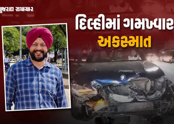 દિલ્હીમાં મહિલા કારચાલકની અડફેટે કેન્દ્રીય નાણા મંત્રાલયના અધિકારીનું મોત, પત્નીની હાલત ગંભીર | Trag…