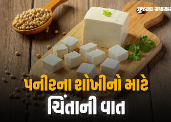 એલર્ટ: નકલી પનીરથી કેન્સર, અલ્સર અને હૃદયમાં બ્લોકેજ થવાનું જોખમ, ગુજરાતમાં 92% પનીર નકલી | Duplicat…