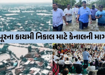બનાસકાંઠાના પૂરગ્રસ્ત વિસ્તારોની કોંગ્રેસે લીધી મુલાકાત, સરકાર પાસે રૂ.1,000 કરોડના પેકેજની માંગ | C…