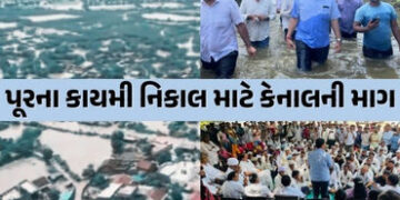 બનાસકાંઠાના પૂરગ્રસ્ત વિસ્તારોની કોંગ્રેસે લીધી મુલાકાત, સરકાર પાસે રૂ.1,000 કરોડના પેકેજની માંગ | C…