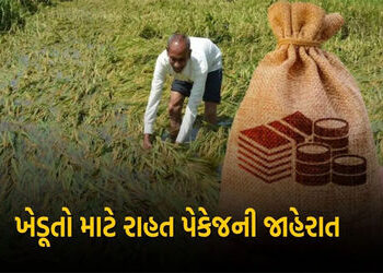 ભાવનગરના 4 તાલુકાનાં 45017 ખેડૂતોએ કૃષિ રાહત માટે ફોર્મ ભર્યા | 45017 farmers from 4 talukas of Bhav…