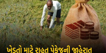 ભાવનગરના 4 તાલુકાનાં 45017 ખેડૂતોએ કૃષિ રાહત માટે ફોર્મ ભર્યા | 45017 farmers from 4 talukas of Bhav…