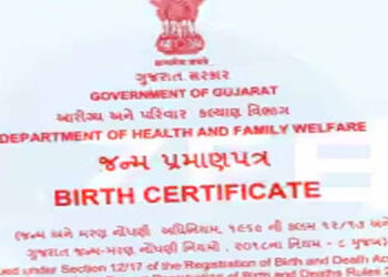 આણંદ જિલ્લામાં 10 દિવસથી જન્મ- મરણના દાખલાની કામગીરી ઠપ | Birth and death certificate work stalled i…