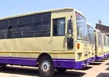 પીએમના કાર્યક્રમમાં ભાવનગર વિભાગની 100 મળી 1200 એસ.ટી. બસ ફાળવાઈ | 100 buses of Bhavnagar division w…