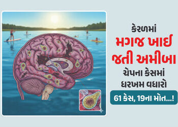 61 કેસ, 19ના મોત…! કેરળમાં ‘મગજ ખાઈ જતી અમીબા’ના કારણે ફફડાટ, નવજાત બાળકથી લઈને વૃદ્ધો ઝપેટમાં | ‘…