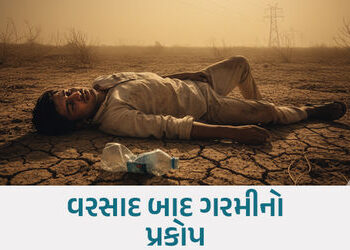વડોદરામાં વરસાદ બાદ ગરમીનો પ્રકોપ: બે દિવસમાં ચારના શંકાસ્પદ મોત, ગભરામણના કિસ્સા વધ્યા | Four Suspe…