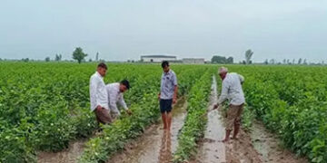 અમરેલીના ખેડૂતોની જમીનના ડિજિટલ સર્વેમાં ખામી, વાસ્તવિક આંકડાઓ સાથે સર્વે કરવા મુખ્યમંત્રીને રજૂઆત |…