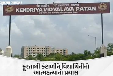 પાટણમાં વિદ્યાર્થિનીને સાથે ભણતા વિદ્યાર્થીએ બ્લેડના ઘા માર્યા, કંટાળીને આત્મહત્યાનો કર્યો પ્રયાસ | …