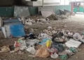 વડોદરામાં સ્વચ્છતા અભિયાન વચ્ચે વોર્ડ કચેરીની સામે જ કચરાના ઢગલા, તંત્રની કામગીરી પર સવાલ | piles of…