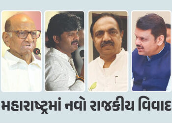 ભાજપ ધારાસભ્યના વિવાદાસ્પદ નિવેદનથી શરદ પવાર ભડક્યા, ફડણવીસને કર્યો ફોન, જાણો મામલો | Sharad Pawar C…