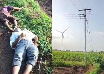 ખંભાળિયામાં PGVCLની બેદરકારીએ બે નિર્દોષ ખેડૂતોનો લીધો જીવ, ખેતરમાં જીવંત વાયર પડતા વીજ કરંટથી બંનેન…