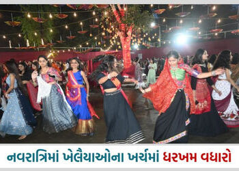 વડોદરામાં રોજ દસ લાખથી વધુ લોકો ગરબા રમવા અને જોવા ઉમટશે, પાસ પાછળ રૂ. 40 કરોડથી વધુનો ખર્ચ કરશે | N…