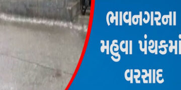 મહુવા પંથકમાં પ્રથમ નોરતે મૂશળધાર 3 ઈંચ વરસાદ | First torrential rain of 3 inches in Mahuva district