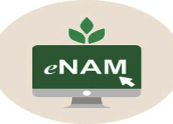 આંતરરાજ્ય વેપારને પ્રોત્સાહન આપવા e-NAM 2.0 શરૂ કરવા માટે તૈયારી | Preparations to launch e NAM 2 0 …