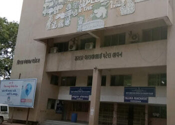 વડોદરા જિ.પંચાયતે 23 લાખ ફાળવ્યા છતાં દબાણો રોકવા મિલકતોને ફેન્સિંગ કરાતી નથી | Despite the district…