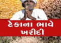 મગફળીનું ઉત્પાદન 66 લાખ ટન અને સરકાર માત્ર 12.62 લાખ ટન ખરીદશે | Groundnut production is 66 lakh ton…
