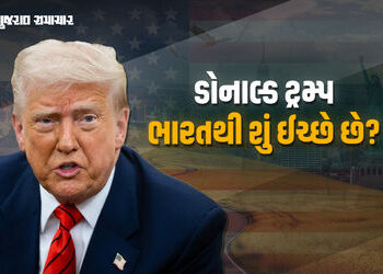 ‘અમે ભારતને દંડિત કરવા નથી માગતા પણ..’ ટેરિફના ટેન્શન વચ્ચે અમેરિકાએ જણાવી તેની ઈચ્છા | us minister …