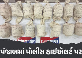 પંજાબમાં પોલીસ હાઈએલર્ટ પર, ISI મોટો હુમલો કરે તેવી આશંકા, પૂરની આડમાં મોકલ્યા હથિયારો | ISI Plannin…
